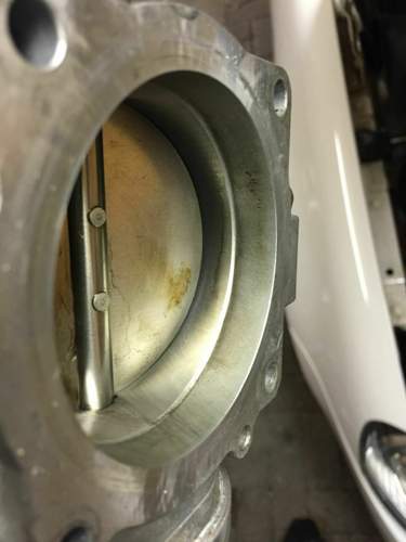 Img-0713