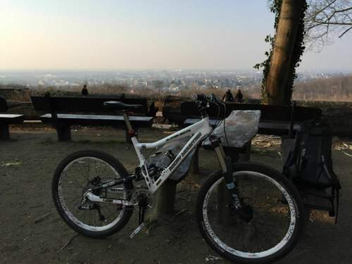 Img-5601