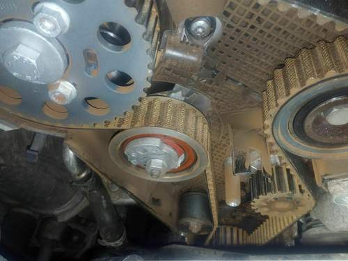 Zahnriementrieb 1,6 TDI nach 309000km
