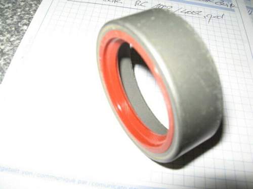 Img-1516