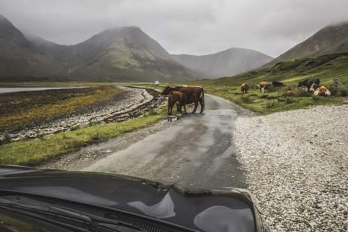 Wer durch Schottland rollt, ist nicht allein auf der Straße
