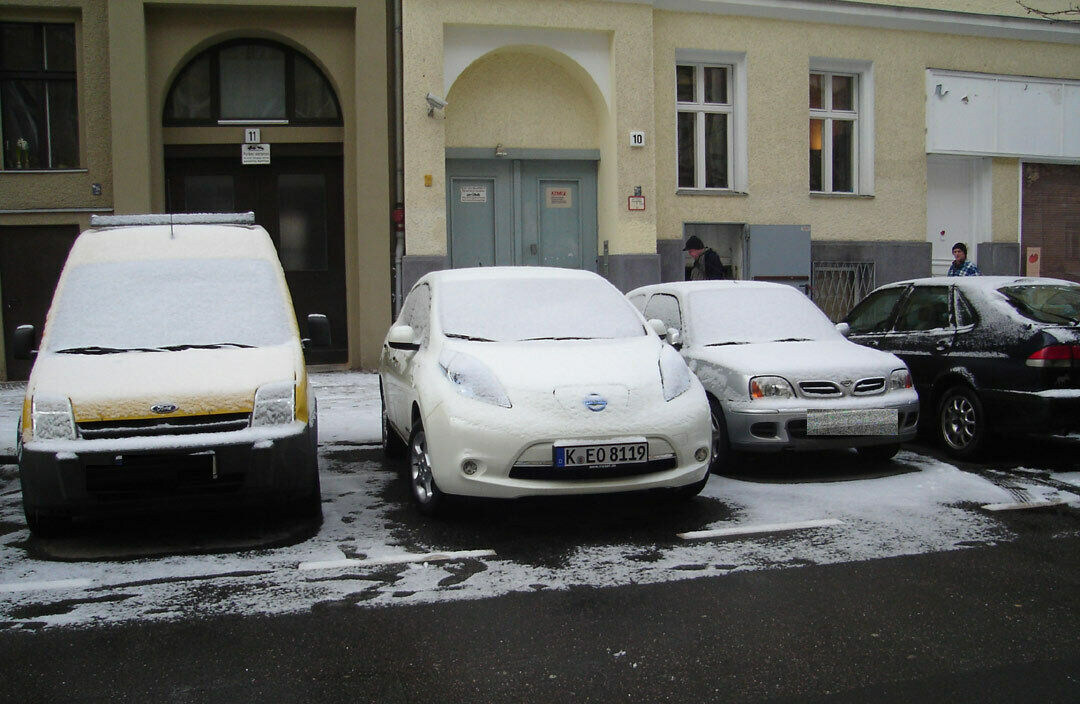 Mittlerweile ein gewohnter Anblick am Morgen: Weißer Leaf unter Schneedecke.