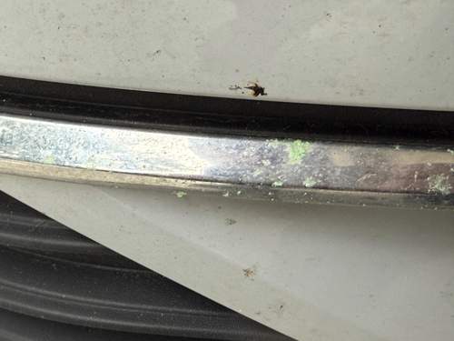 Golf VII Chromleiste vorne