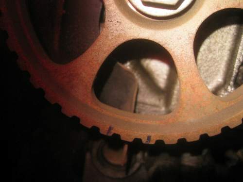 Img-1590