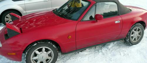 NA Winter
