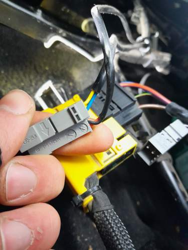 Der Stecker mit den beiden vom Gurtschloss kommenden Leitungen.jpg