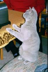 Jordan-2003-12-091