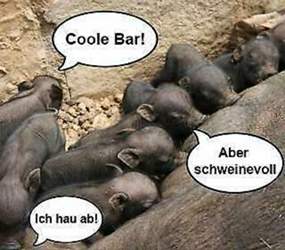 Lustige-bilder-mit-sprechblase