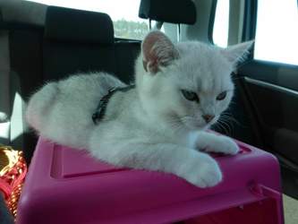 Nico-2015-04-03-13-00-54