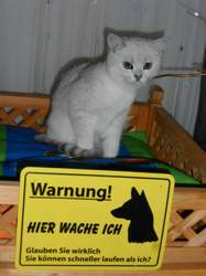 Nico-2015-05-01-20-47-16