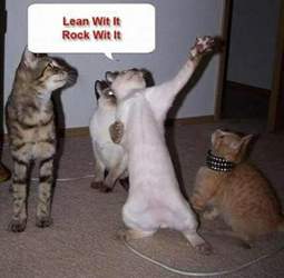 850816-x2dxf7lhakvvkgar1s2yrqydsj8r1o-7696-funny-dancing-cats-h224547-l