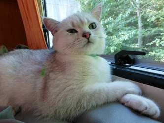 Nico-2015-07-11-18-18-54