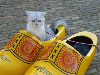Nico-2016-04-10-16-36-00-holland-zaanse-schans