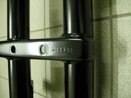 Dsci0538
