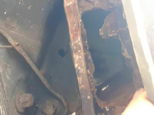 IMG_2021-08-11_10-11-07.jpeg