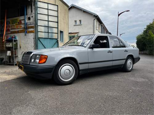 W124 Liasgrau