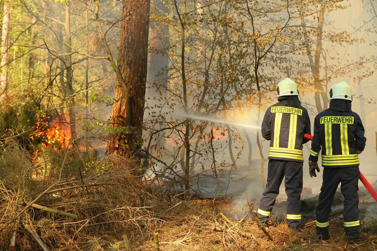 Waldbrandvermeidung: Autofahrer können ihren Teil beitragen