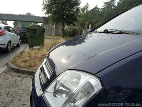 Motorhaube