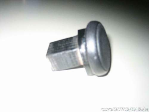 Img-7531