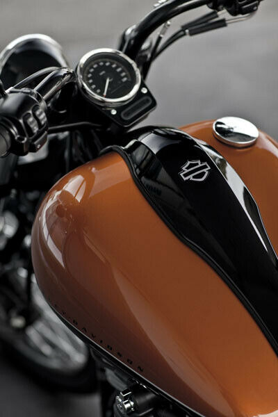 Harley Davidson Blackline