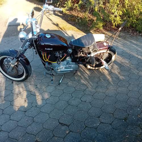 Harley davidson ironhead