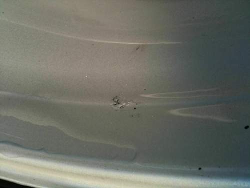 Img-1592