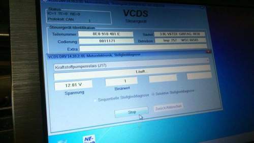 13022300-1531216423854700-814208279-n-8598913542815294528