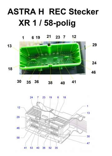 Pinnummerierung XR 1 Stecker