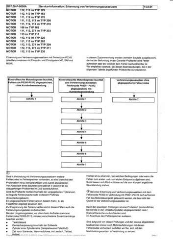 Clk208-447-fehlercode-p0300
