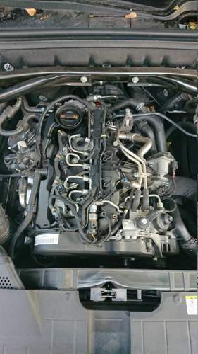 Dsc