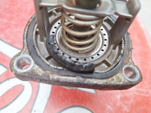 IMG_2023-09-14_20-50-52.jpeg