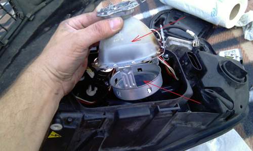 Img-3576