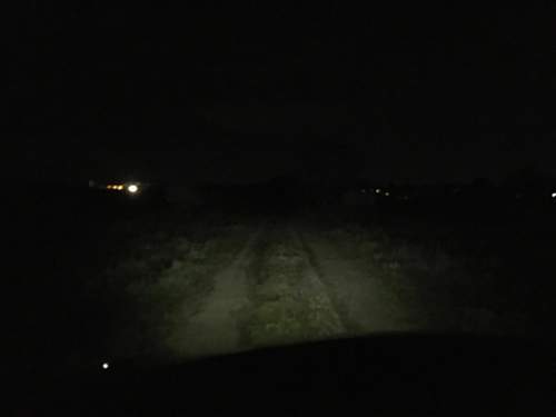 Tagfahrlicht-auris