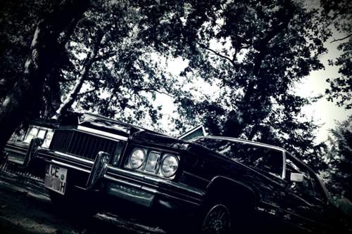 Cadillac-herbst-2015