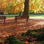 Herbstlaub hat seinen Reiz