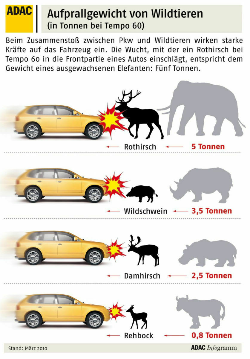 AUfprallgewicht bei Wildunfällen