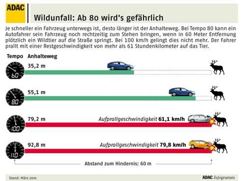 Bremswege und Unfallgefahr