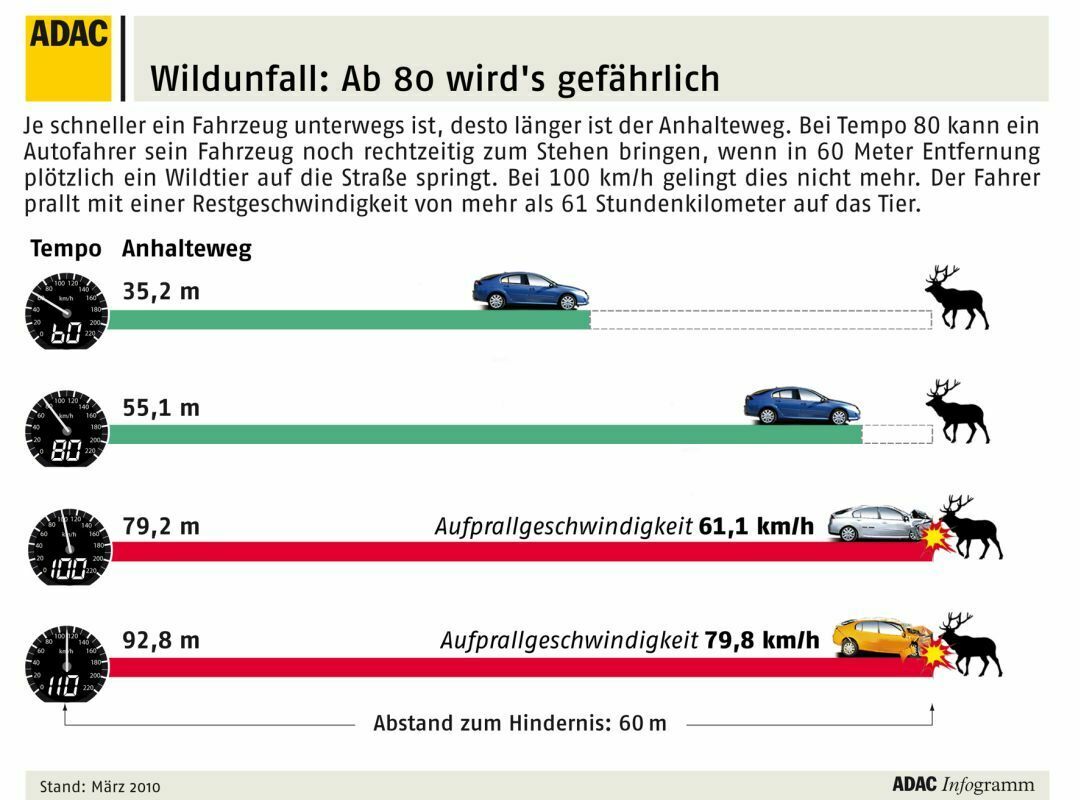 Bremswege und Unfallgefahr