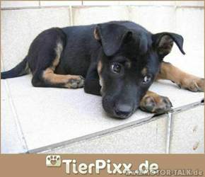 Bin-ganz-lieb
