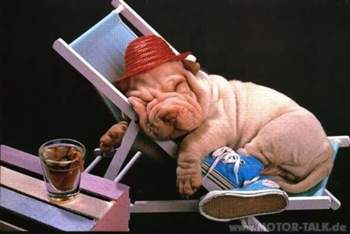 Fauler-hund