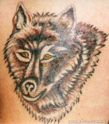 Wolf