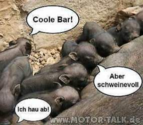 Lustige-bilder-mit-sprechblase
