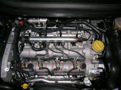 Vectra