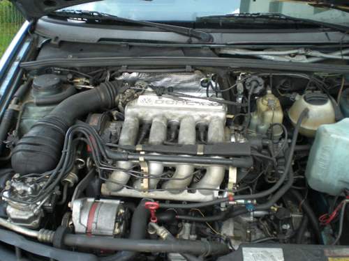 Cimg1555