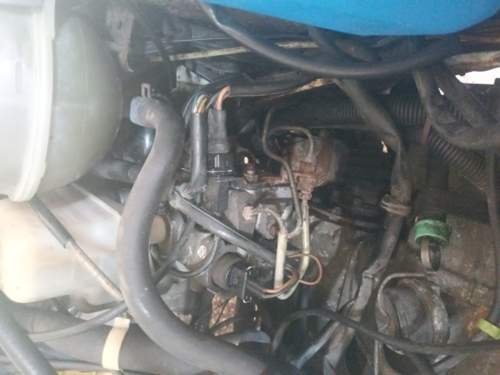 IMG_2024-06-23_11-56-12.jpeg