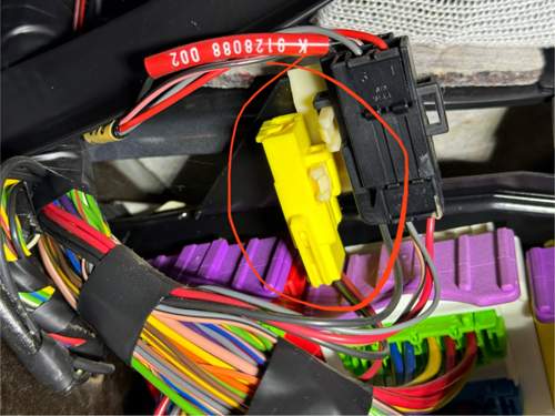 F2 - Gelber Stecker 1