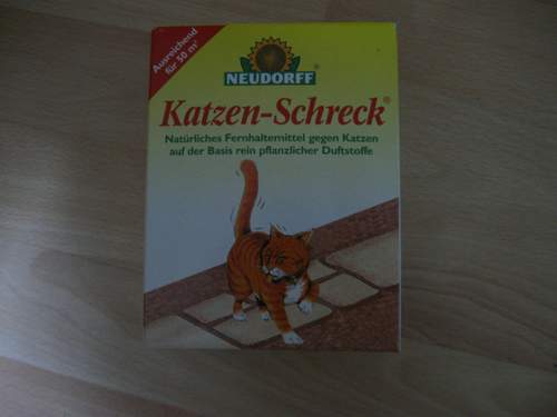 Img-0253