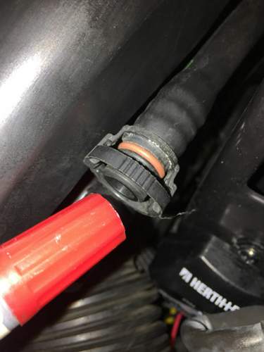 Stecker 1
