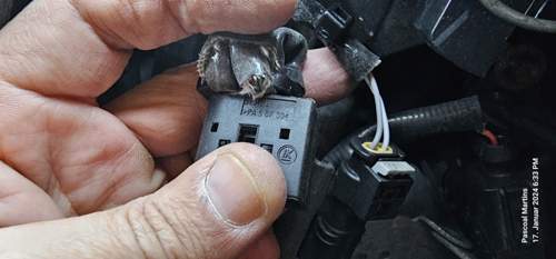 Stecker Selber