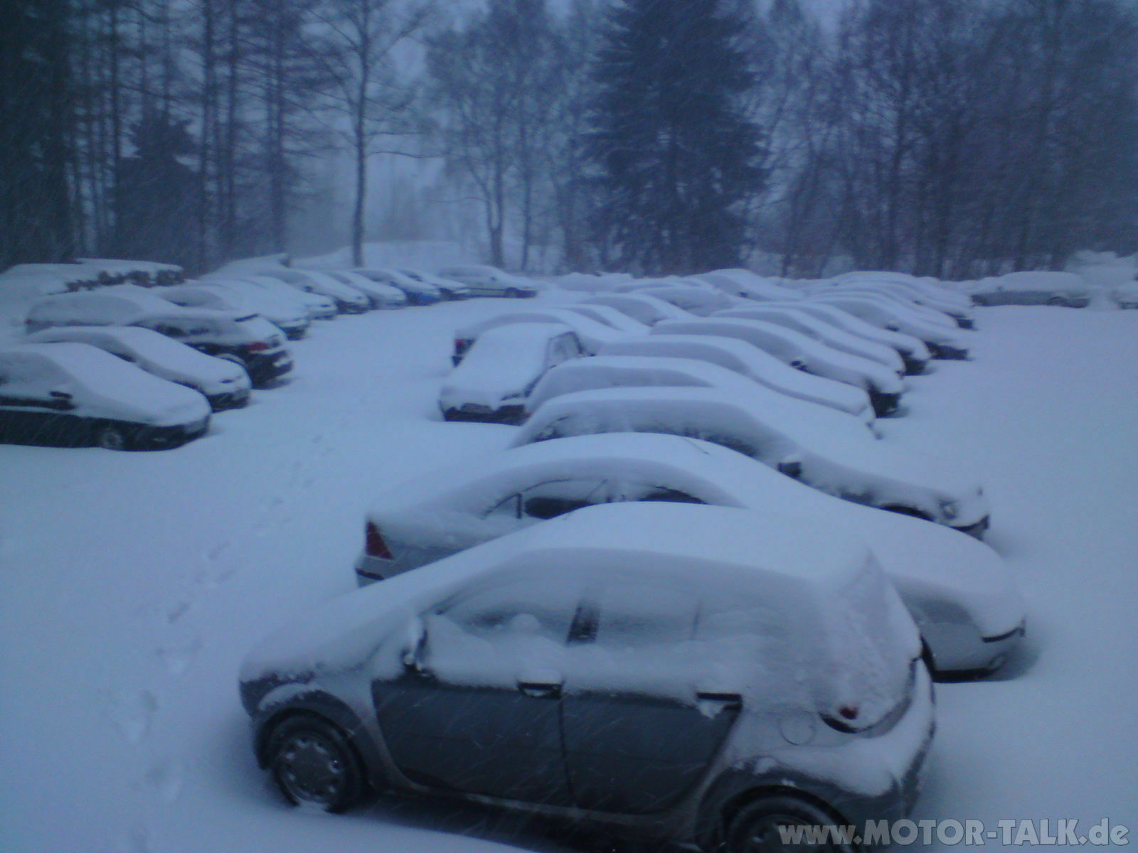 Hilfe Schnee, was soll ich machen